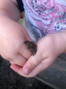 little toads