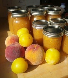 Low-Sugar Peach and Yellow Plum Jam