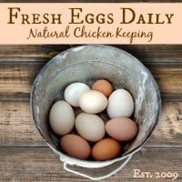 Fresh Eggs Daily 