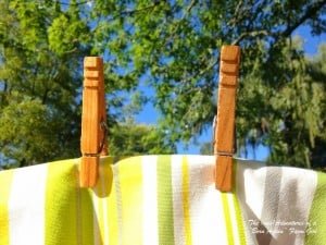 (mis)Adventures Clothespin Review