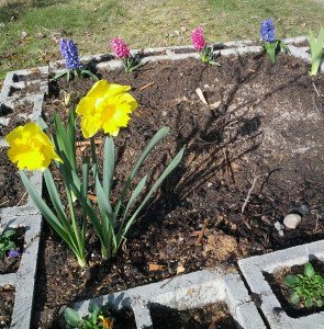 The Carpenters Flowerbed