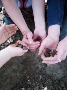 Learning about habitat, frogs, amphibians... Life Science together.