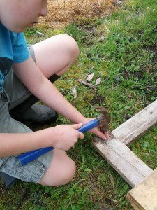 Building with wood