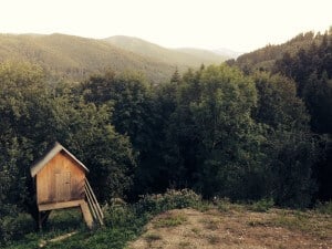 boss-fight-stock-images-photos-free-hut-in-forest